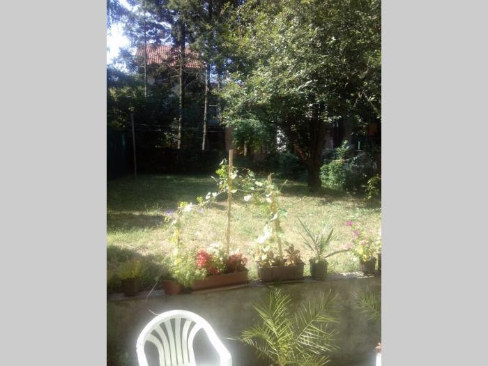 bele vode, buda tomovića, 1 0, 32m2, pr 2, renoviran besplatni mali oglasi