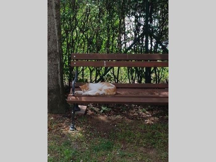 cerak, 2 5, vpr, 70m2, garaža, parking mesto, dvorište, renoviran besplatni mali oglasi