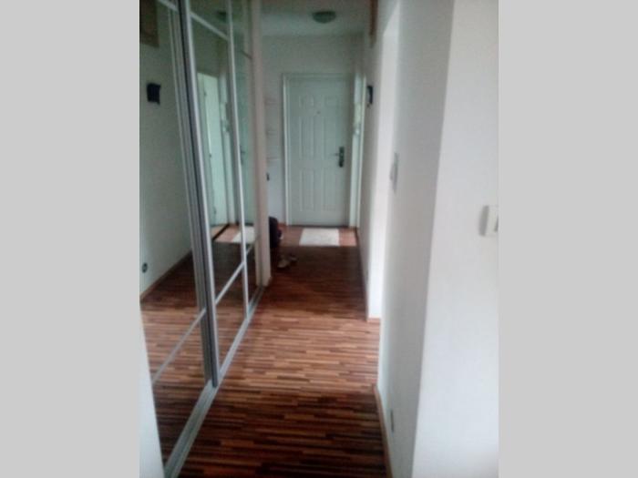zemun, kej, 3,0 , 71m2, 2 2, ta, uknjižen, renovira, luks sa stvarim besplatni mali oglasi