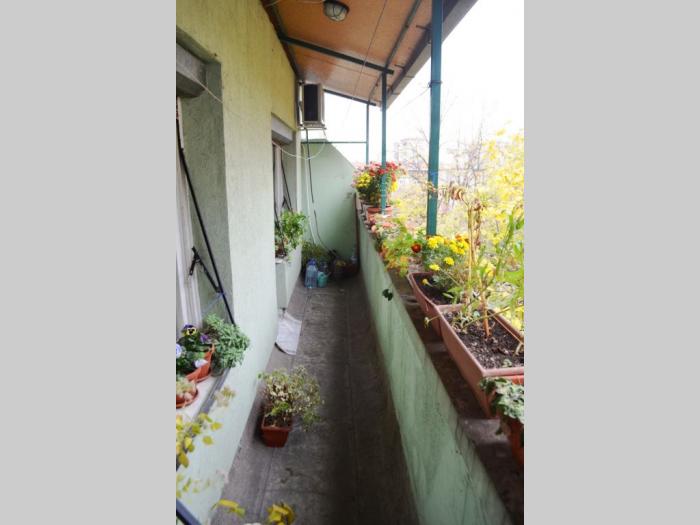zemun, kod prvomajske, sestara milovanović, 2 0, 43 m2 velike terase besplatni mali oglasi