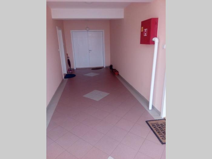 zemun, milana uzelca, 2 5, 50m2, 3 3, dupleks besplatni mali oglasi