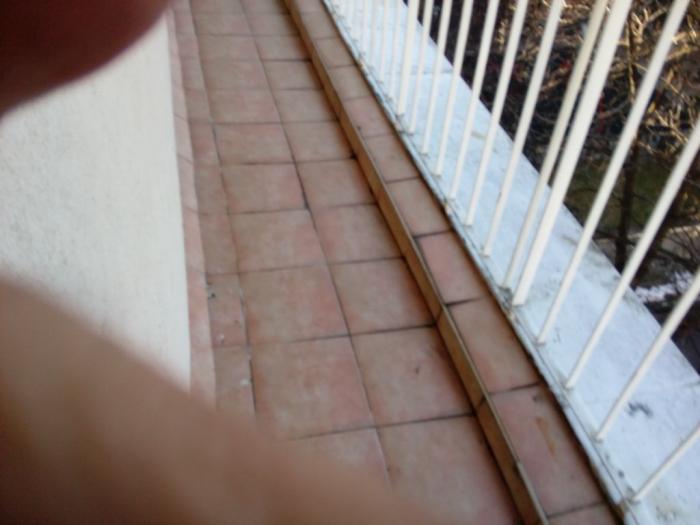 zemun, braće abafi, 2 0, 64m2 (2terase), ta, lux, namešten besplatni mali oglasi