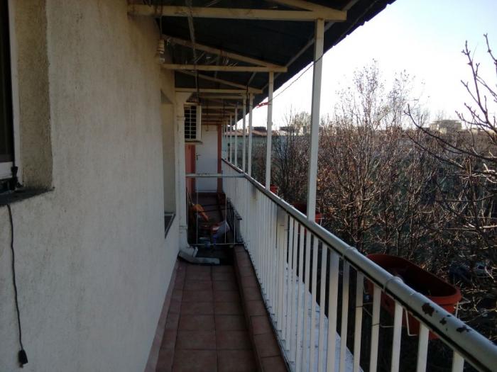 zemun, braće abafi, 2 0, 64m2 (2terase), ta, lux, namešten besplatni mali oglasi