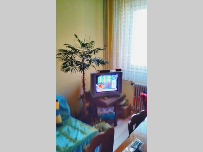 prodajem 1,5 stan u boru besplatni mali oglasi