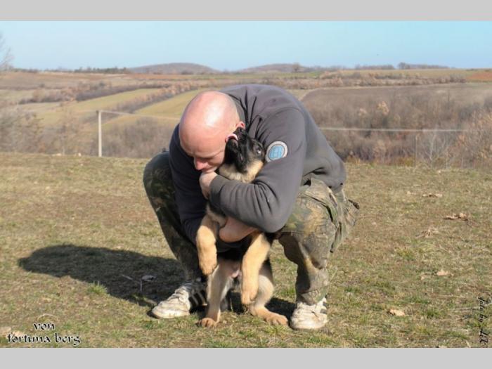 štenad nemačkog ovčara besplatni mali oglasi