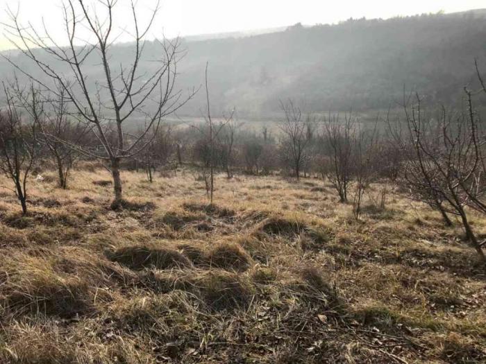 lep plac na fruškoj gori, krušedol 16 ari besplatni mali oglasi