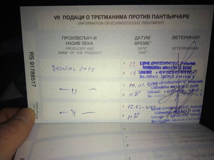 čivava štenci pedigre, pasoš, čip besplatni mali oglasi