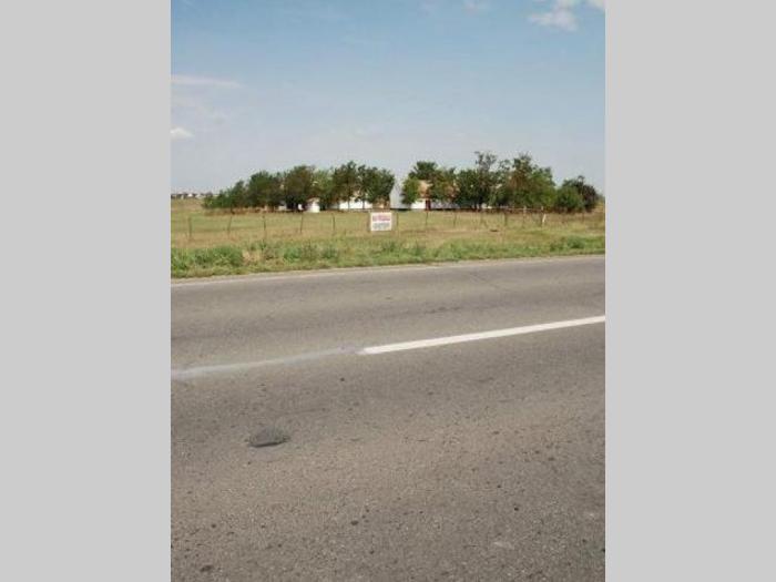 salaš na putu novi sad zrenjanin , kod žablja besplatni mali oglasi
