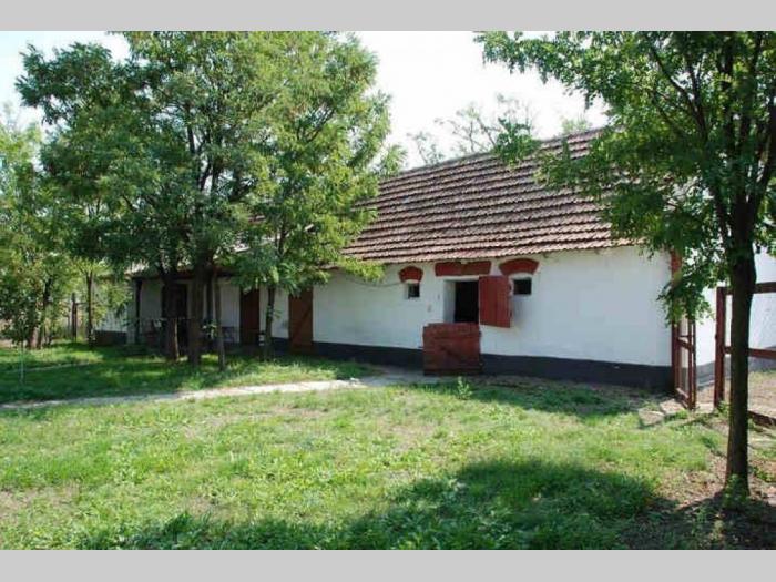 salaš na putu novi sad zrenjanin , kod žablja besplatni mali oglasi