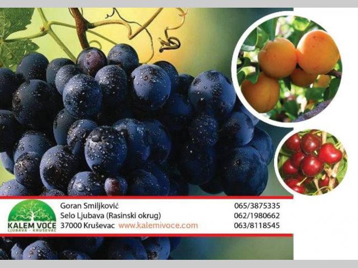vocne i lozne sadnice, najbolji kvalitet, najpovoljniji uslovi besplatni mali oglasi