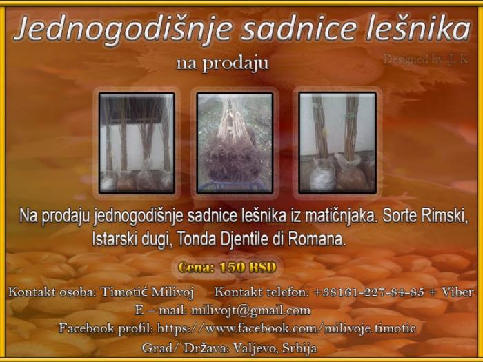 jednogodišnje sadnice lešnika besplatni mali oglasi