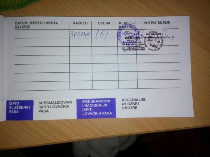 beli švajcarski ovčar besplatni mali oglasi