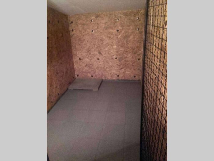 pansion za pse arči besplatni mali oglasi