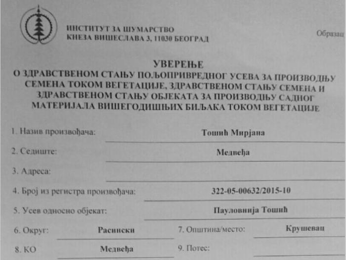 jednogodišnje sadnice paulonije akcija besplatni mali oglasi