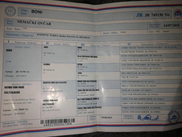 crni nemački ovčar štenci besplatni mali oglasi