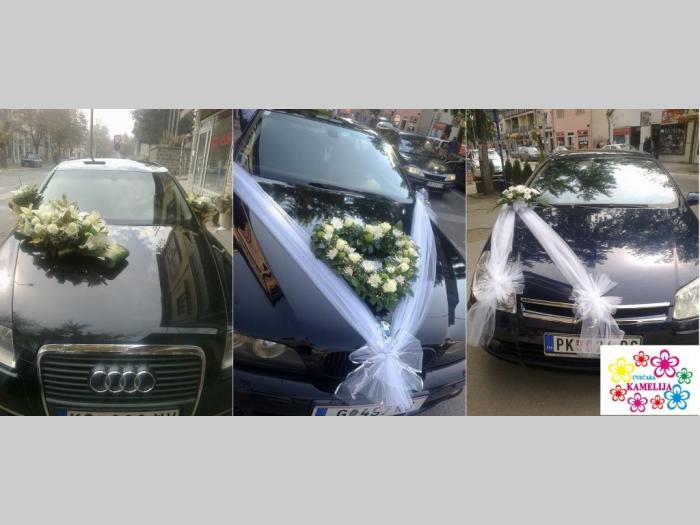 cvećara kamelija besplatni mali oglasi