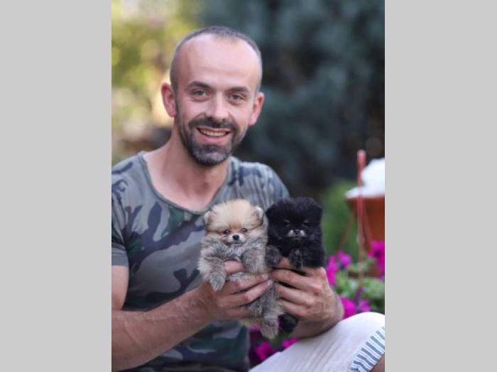 boo pomranski patuljasti špic štenci besplatni mali oglasi