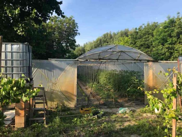 4 0, 100m2, kuća, bačka palanka besplatni mali oglasi