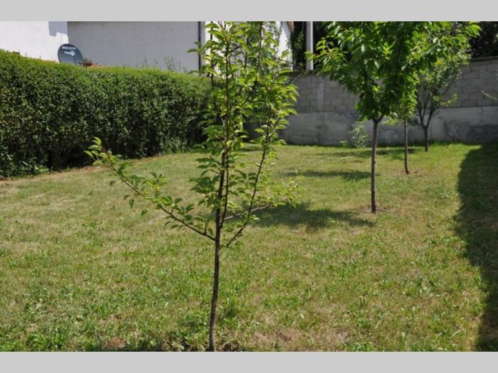 kaluđerica, kuća prodaja ili zamena za stan besplatni mali oglasi