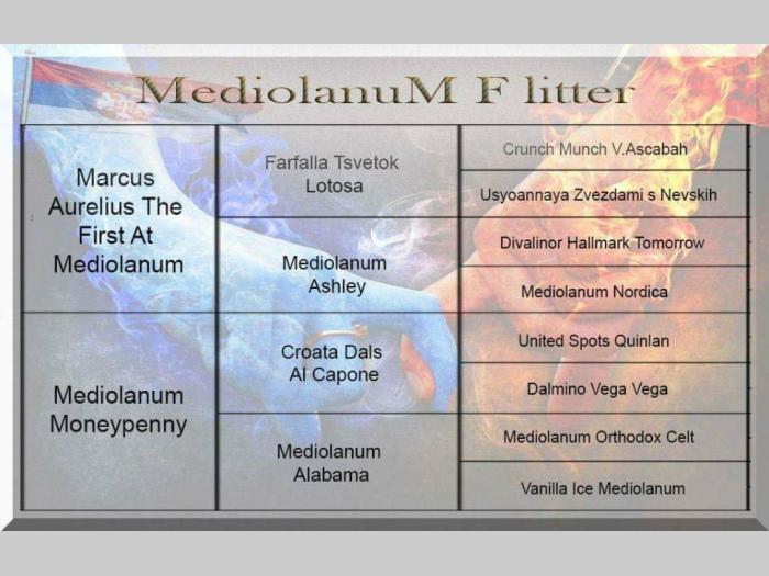 dalmatinci, šetnci izložbenog potencijala besplatni mali oglasi
