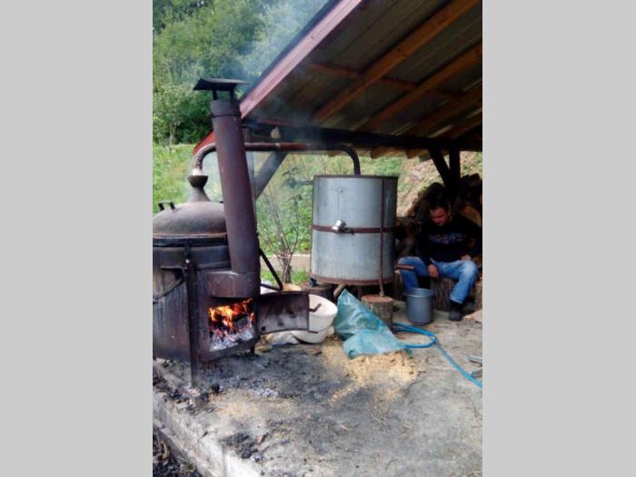 kuća na selu sa šumom, njivom, šljivikom ljig, belanović besplatni mali oglasi