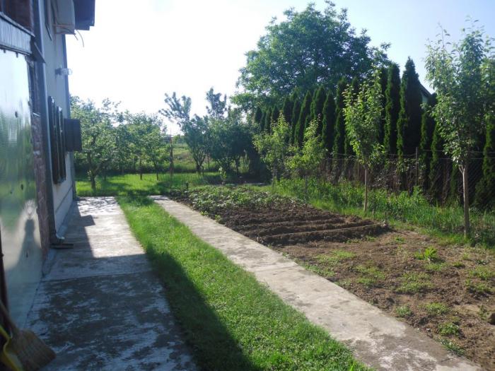 prodajem kuću na kolarskom putu besplatni mali oglasi