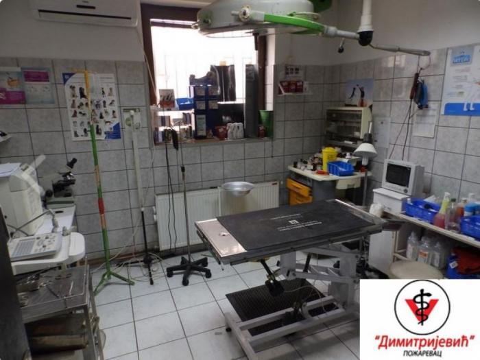 veterinarska stanica požarevac besplatni mali oglasi