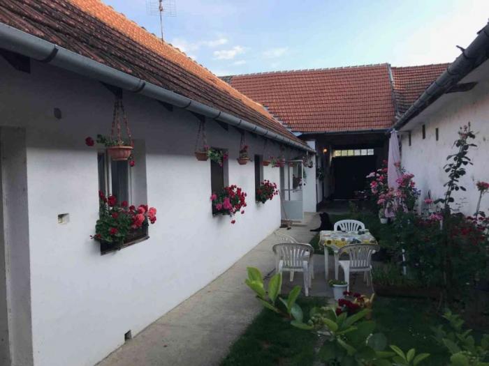 na prodaju kuća u bačkoj palanci besplatni mali oglasi