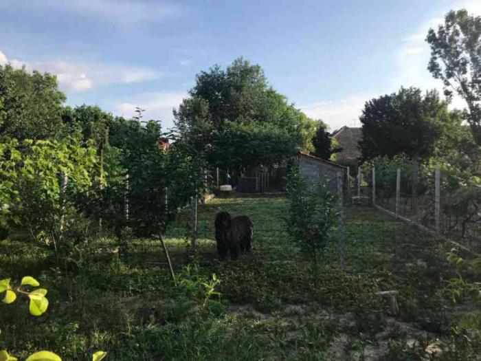 na prodaju kuća u bačkoj palanci besplatni mali oglasi