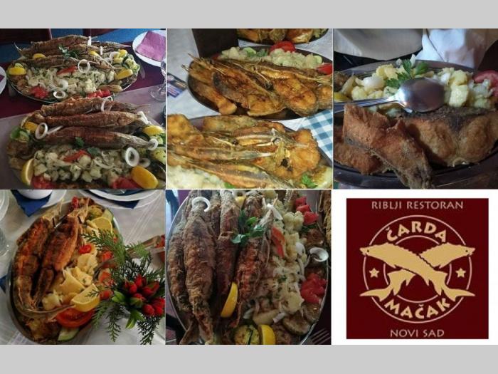 riblji restoran čarda mačak novi sad besplatni mali oglasi