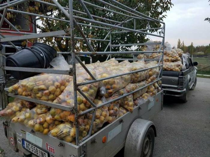 kruške na prodaju besplatni mali oglasi