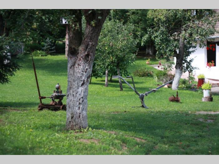 eko etno klub čerević besplatni mali oglasi