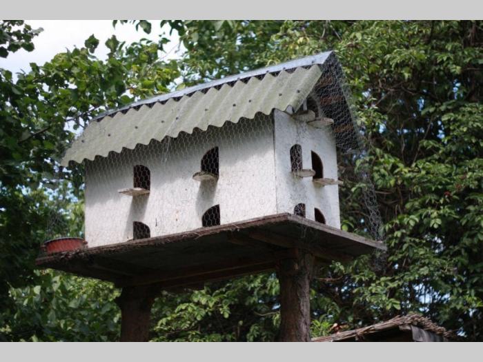 eko etno klub čerević besplatni mali oglasi