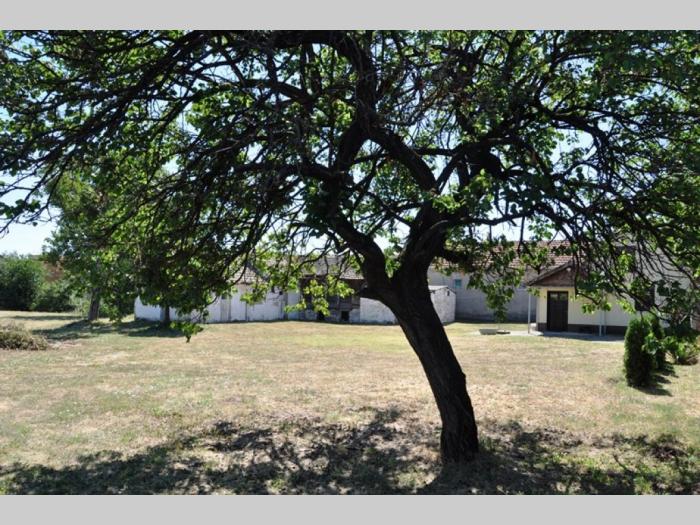 batajnica, domaćinstvo 120m2 20 ari placa besplatni mali oglasi
