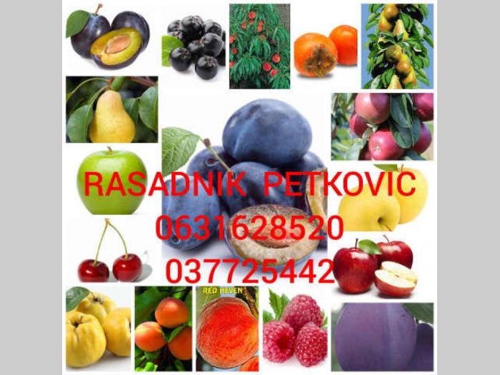 rasadnik petković sadnice voća besplatni mali oglasi