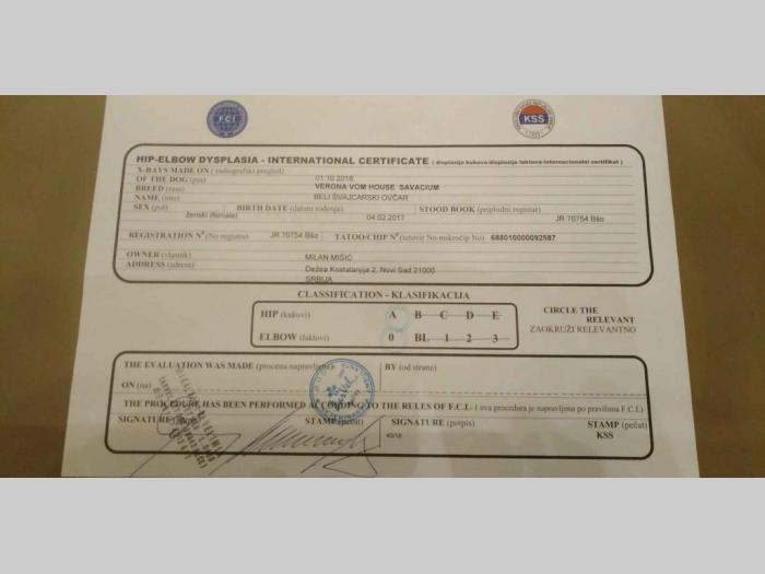 beli švajcarski ovčar rezervacija štenaca  besplatni mali oglasi