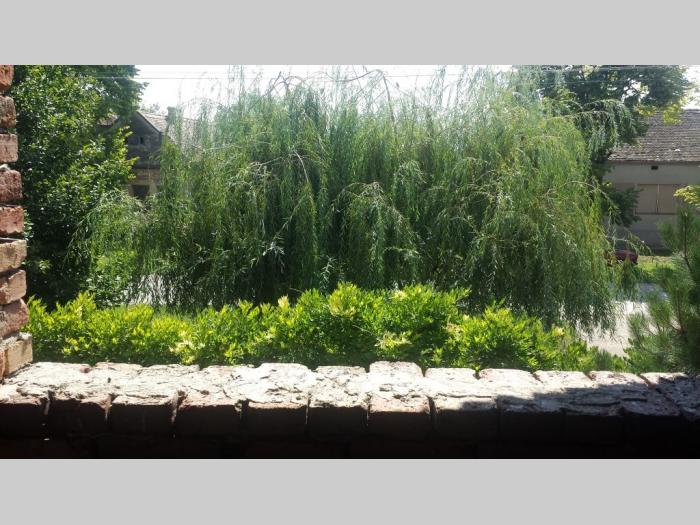 plac, 47 ari, izlaz na asfaltni put besplatni mali oglasi