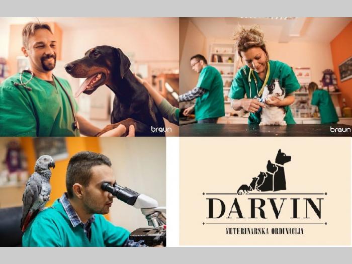 veterinarska ambulanta darvin i pet shop novi sad besplatni mali oglasi