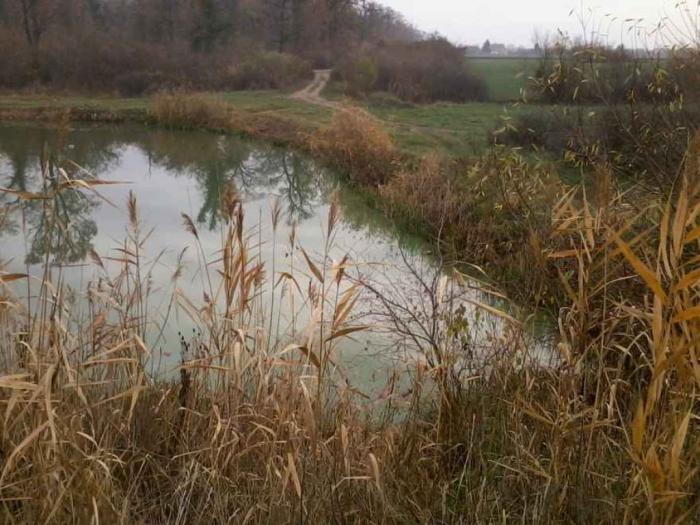 surčin, sc, 86 ari plac besplatni mali oglasi