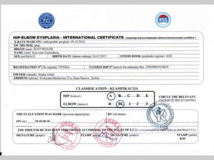 rotvajler ken mužjak slobodan za parenje besplatni mali oglasi
