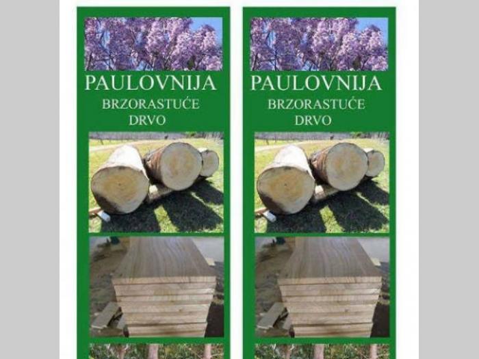 sadnice paulovnije, na prodaju besplatni mali oglasi