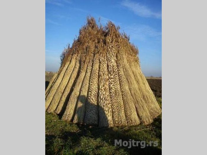 pletena trska za dekoraciju besplatni mali oglasi