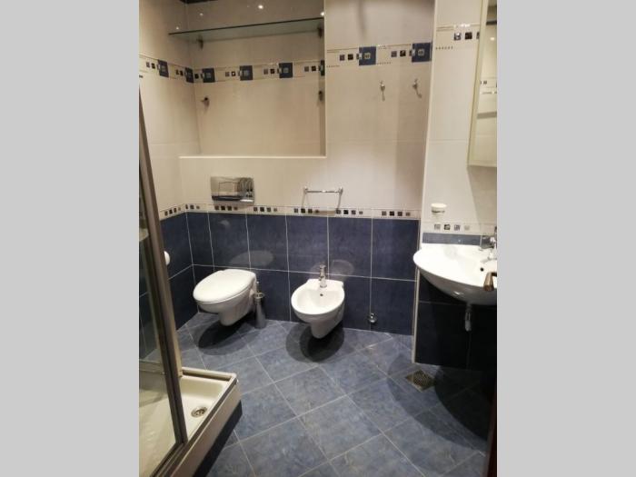 izdavanje, vračar, patrijarha gavrila 142m2 besplatni mali oglasi