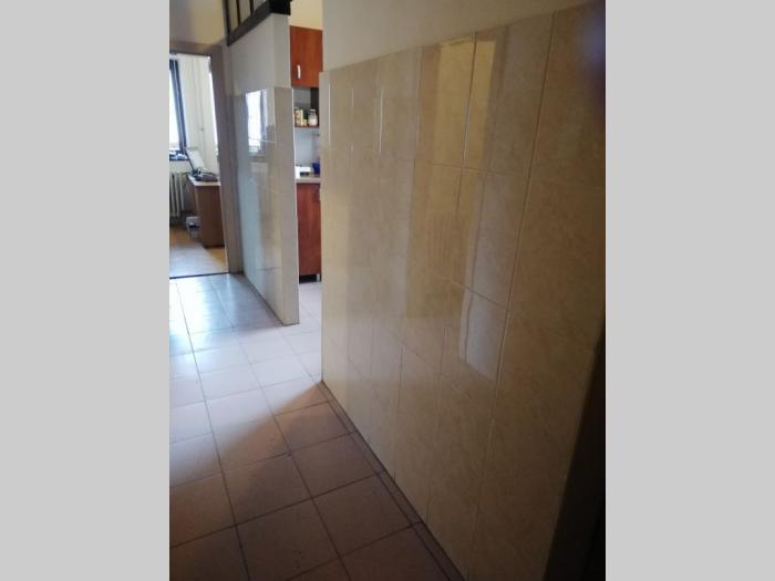 izdavanje, zvezdara, severni bulevar 800m2 besplatni mali oglasi