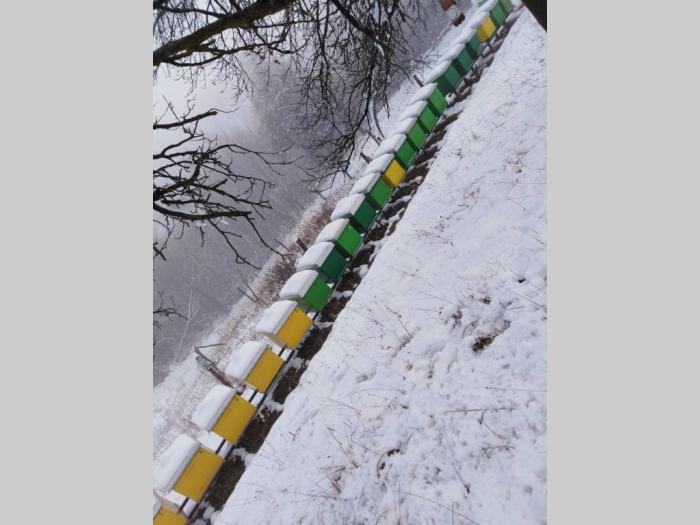 na prodaju košnice sa pčelama besplatni mali oglasi