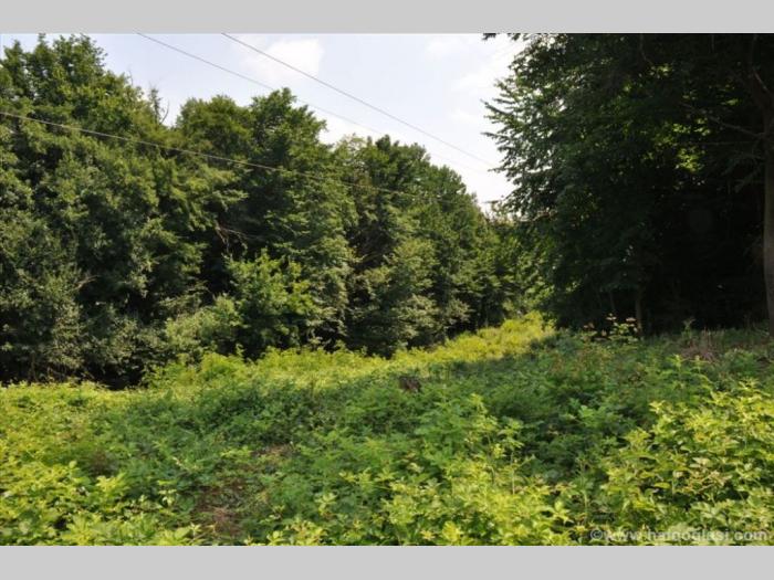 čačak,317 ari, jedinstven plac besplatni mali oglasi