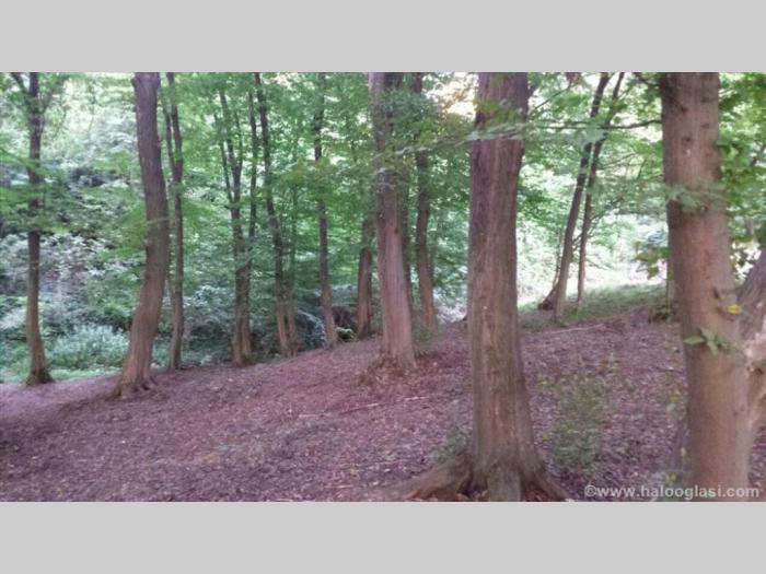 čačak,317 ari, jedinstven plac besplatni mali oglasi