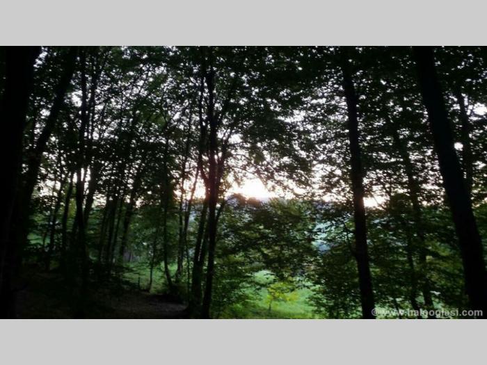 čačak,317 ari, jedinstven plac besplatni mali oglasi