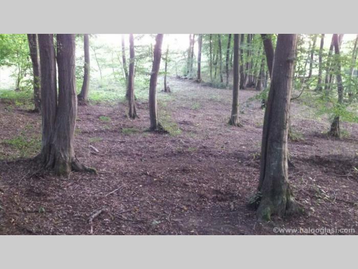 čačak,317 ari, jedinstven plac besplatni mali oglasi