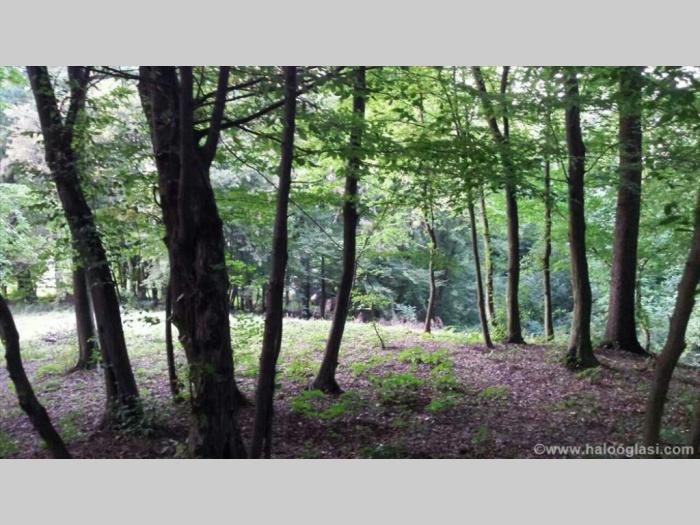 čačak,317 ari, jedinstven plac besplatni mali oglasi